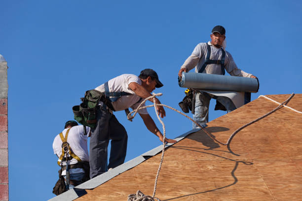 Best Metal Roofing Contractor  in Mount Vernon, OH